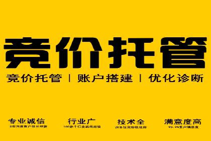 信息流广告精准投放：成功案例展示